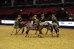 Quadrille - 00736